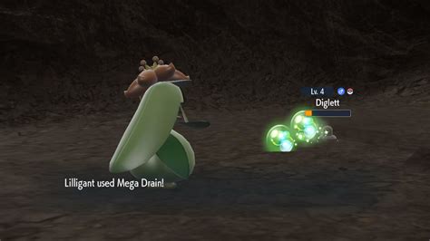 mega drain pokemon|grass type mega pokemon.